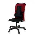 Spine Lumbar Back Rest (T- Shaped)