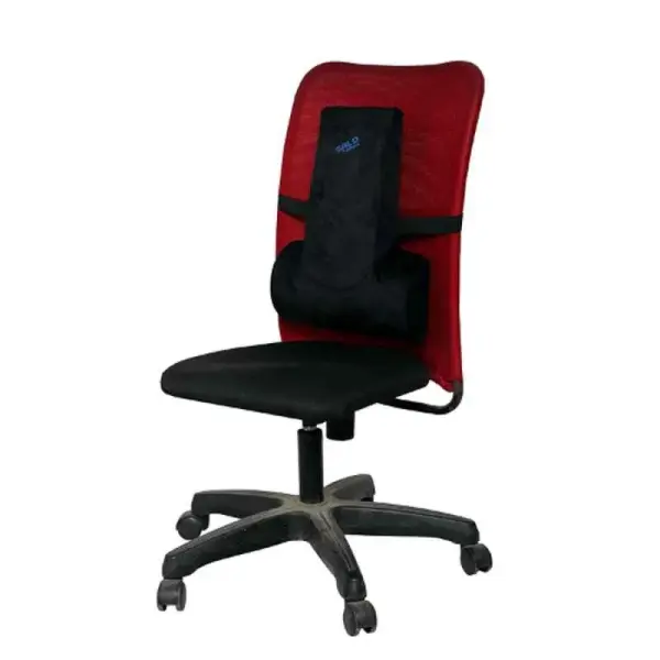 Spine Lumbar Back Rest (T- Shaped)