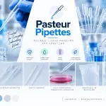 Pasteur Pipettes